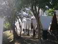 IMG-20190801-WA0001