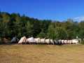 IMG-20190801-WA0005