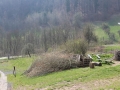 IMG_7172